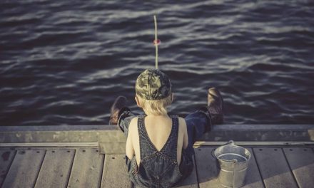 Ernährung und MS: auf den Fisch gekommen