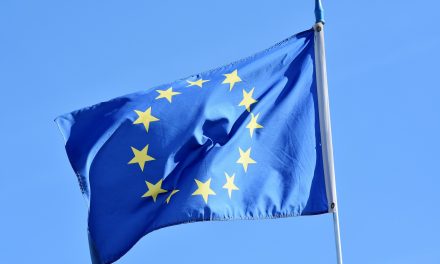 Europawahl: Wählen mit Behinderung