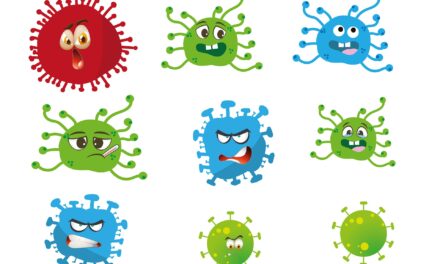 minimed-Studium: Wie funktioniert das Immunsystem?