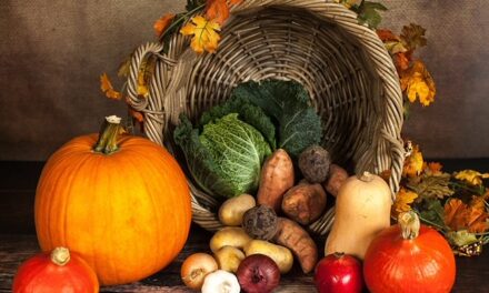 Veranstaltungstipp: Gesunde Ernährung im Alter