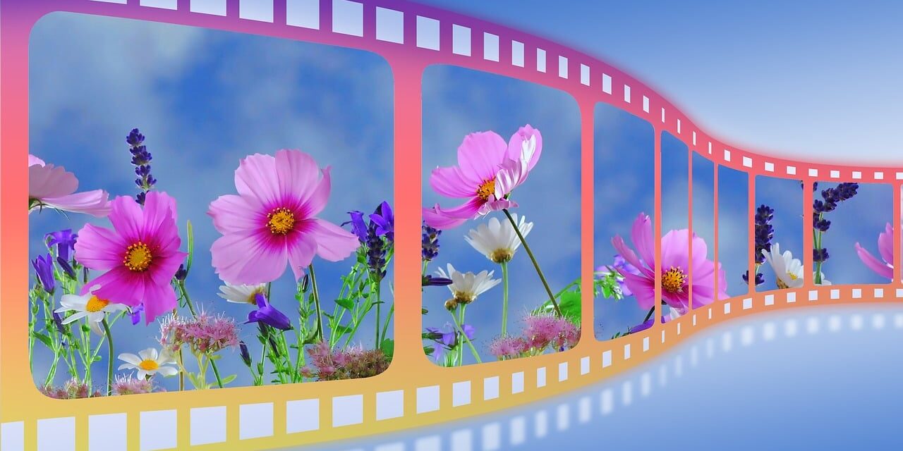 Veranstaltungstipp: Sommerkino am GenussBauernhof