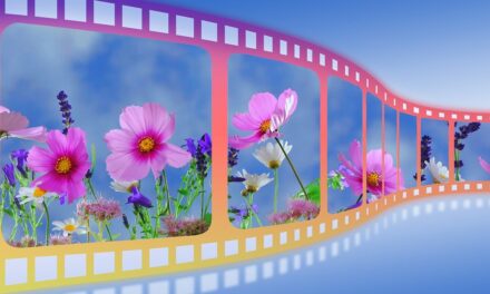 Veranstaltungstipp: Sommerkino am GenussBauernhof